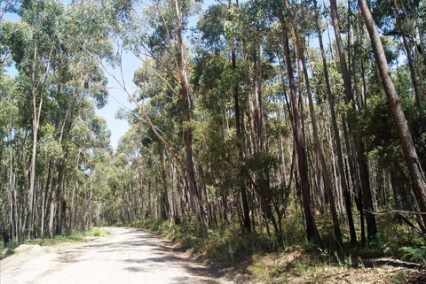 Alfred National Park - South Australia Travel 2