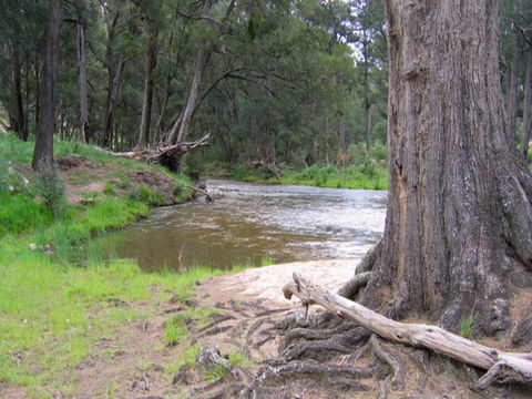 Bangadilly National Park - South Australia Travel 0
