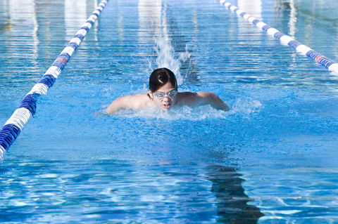 Bomaderry Aquatic Centre - South Australia Travel 0