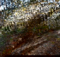 Booderee National Park Munyunga Waraga Dhugan Walking Trail - South Australia Travel