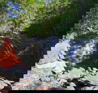 Booloumba Falls Walk Conondale National Park - South Australia Travel