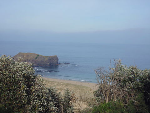Bushrangers Bay - South Australia Travel 0