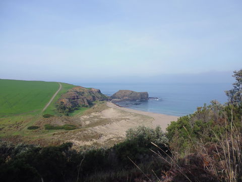 Bushrangers Bay - South Australia Travel 1