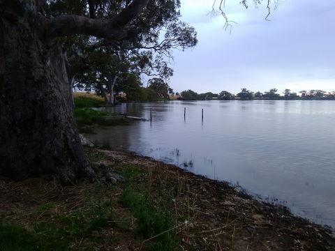 Cockatoo Lake Recreation Reserve - South Australia Travel 1