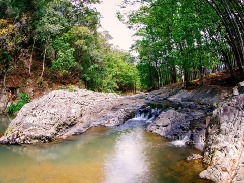 Currumbin Rock Pools - South Australia Travel 0