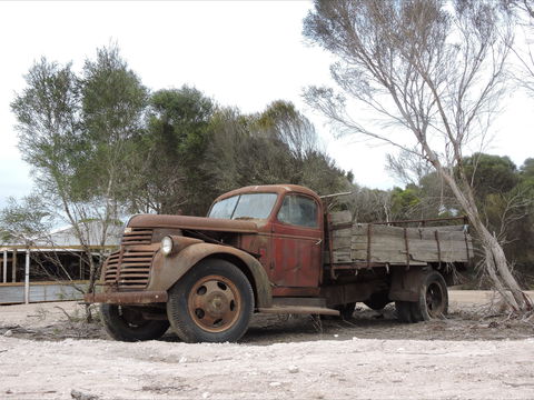 Emu Ridge Eucalyptus Pty Ltd - South Australia Travel 2