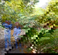 Endeavour Fern Gully Walks - South Australia Travel