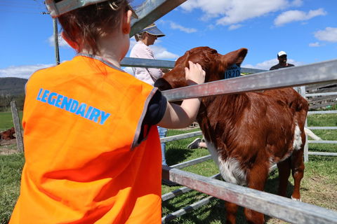 Farm Visit  Dungog - South Australia Travel 0