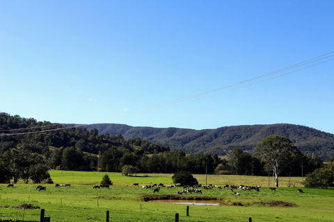 Farm Visit  Dungog - South Australia Travel 1
