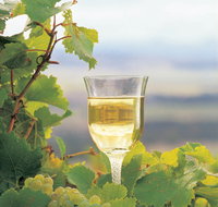 Flavours of the Porongurup Range Trail - South Australia Travel