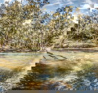 Flea Creek Picnic Area - South Australia Travel