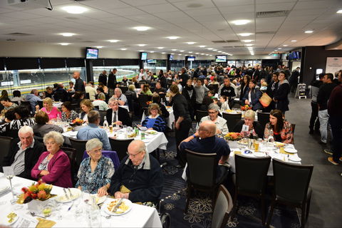 Geelong Greyhound Racing Club - The Beckley Centre - South Australia Travel 1