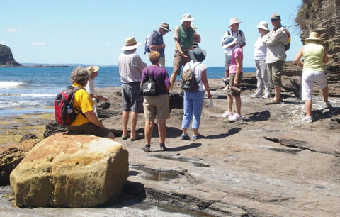 Gondwana Coast Fossil Walk - South Australia Travel 0