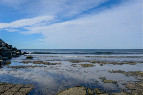 Gondwana Coast Fossil Walk - South Australia Travel 1