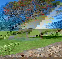 Historic Dry Stone Walls Kiama - South Australia Travel