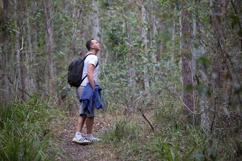 Ironbark Ridge And Spotted Gum Walking Trails - South Australia Travel 2