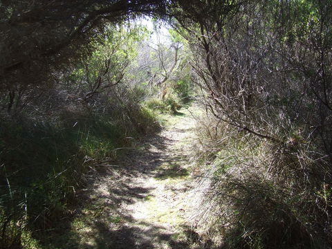 Jack And Hilda McArthur Walk - South Australia Travel 0