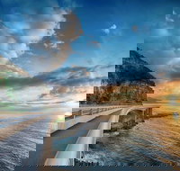 Kramer Photography Rainforest Gallery - South Australia Travel