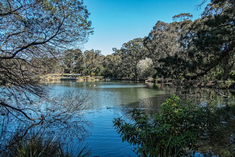 Lake Alexandra Reserve - South Australia Travel 1