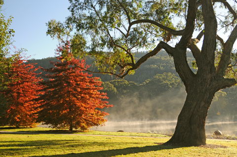 Lake Alexandra Reserve - South Australia Travel 2