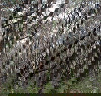 Lookout Hill  Circuit Walk - South Australia Travel