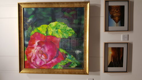 Macleay Valley Community Art Gallery - South Australia Travel 0