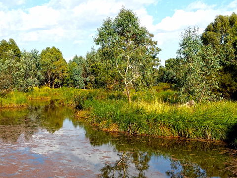 Mansfield Mullum Wetlands - South Australia Travel 0