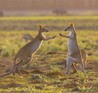 Mary River Area - South Australia Travel