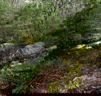Mongarlowe River picnic area - South Australia Travel