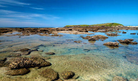 Moonee Beach Trail - South Australia Travel 0
