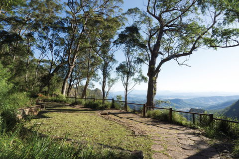 Morans Falls Track, Lamington National Park - South Australia Travel 1