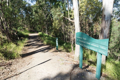 Mt Coot-tha Tourist Drive - South Australia Travel 0