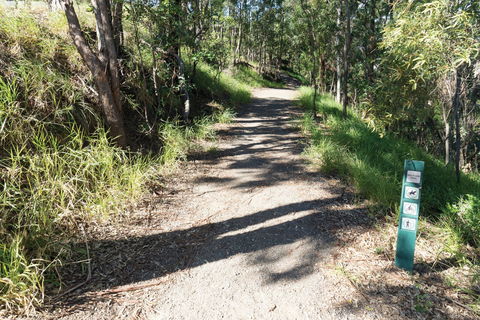 Mt Coot-tha Tourist Drive - South Australia Travel 2