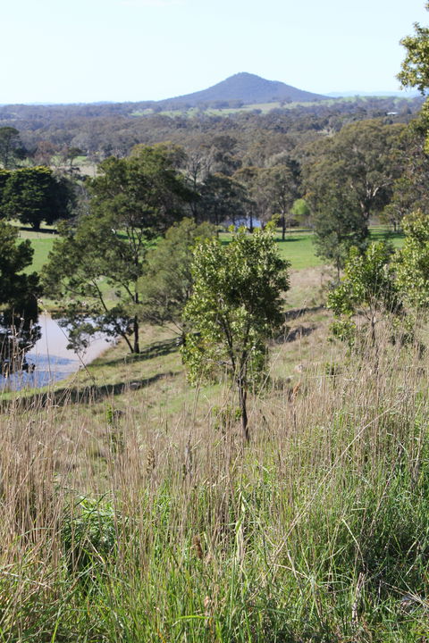 Mt Piper Nature Conservation Reserve - South Australia Travel 1
