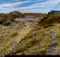Murramarang Aboriginal Area Walking Track - South Australia Travel