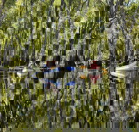 Murray River canoe trails - South Australia Travel