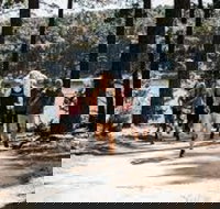 Myponga Reservoir Trail - South Australia Travel