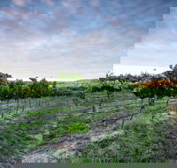 Nature and Foodies Trail - South Australia Travel
