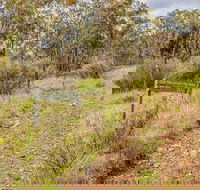 Old Mountain Road Walking Track - South Australia Travel