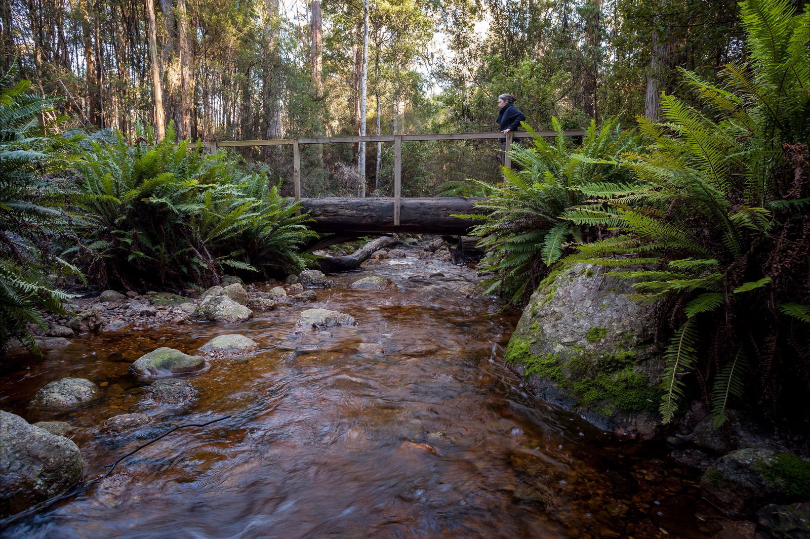 Gowrie Park TAS South Australia Travel