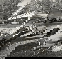 Pioneer Park - South Australia Travel