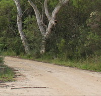Riverview walking track - South Australia Travel