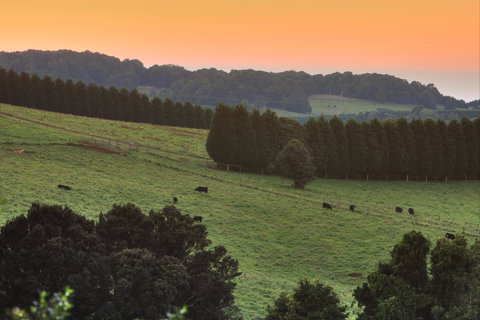 Robertson Heritage Railway Station - South Australia Travel 2