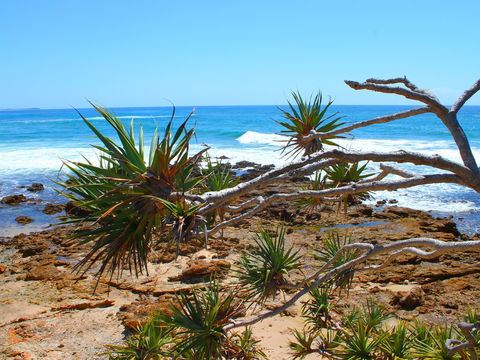 Rocky Point - South Australia Travel 1