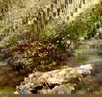 Sandy Creek Track - South Australia Travel
