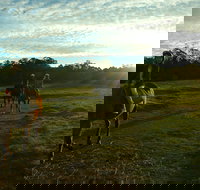 Scenic NSW Horse Riding Centre - South Australia Travel