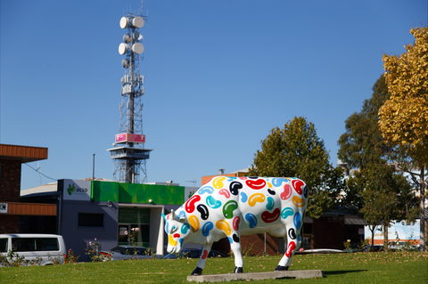 Shepparton Tower - South Australia Travel 1