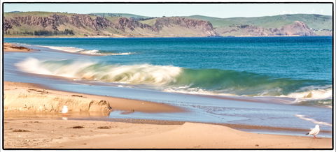 Starfish Hill Windfarm - South Australia Travel 0
