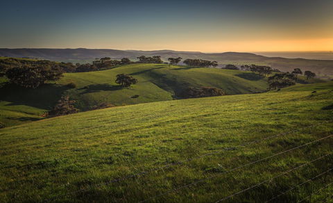 Starfish Hill Windfarm - South Australia Travel 1