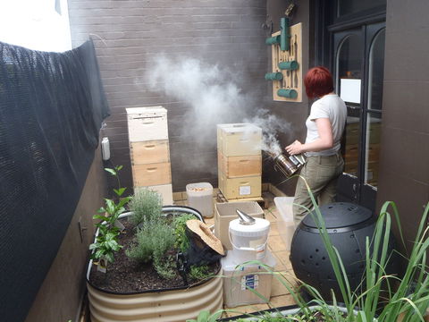 The Urban Beehive Port Botany - South Australia Travel 0